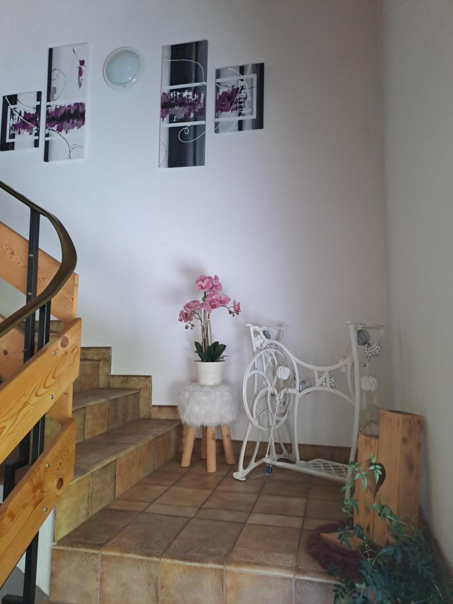 Ferienwohnung Nancy 제르젠스 외부 사진
